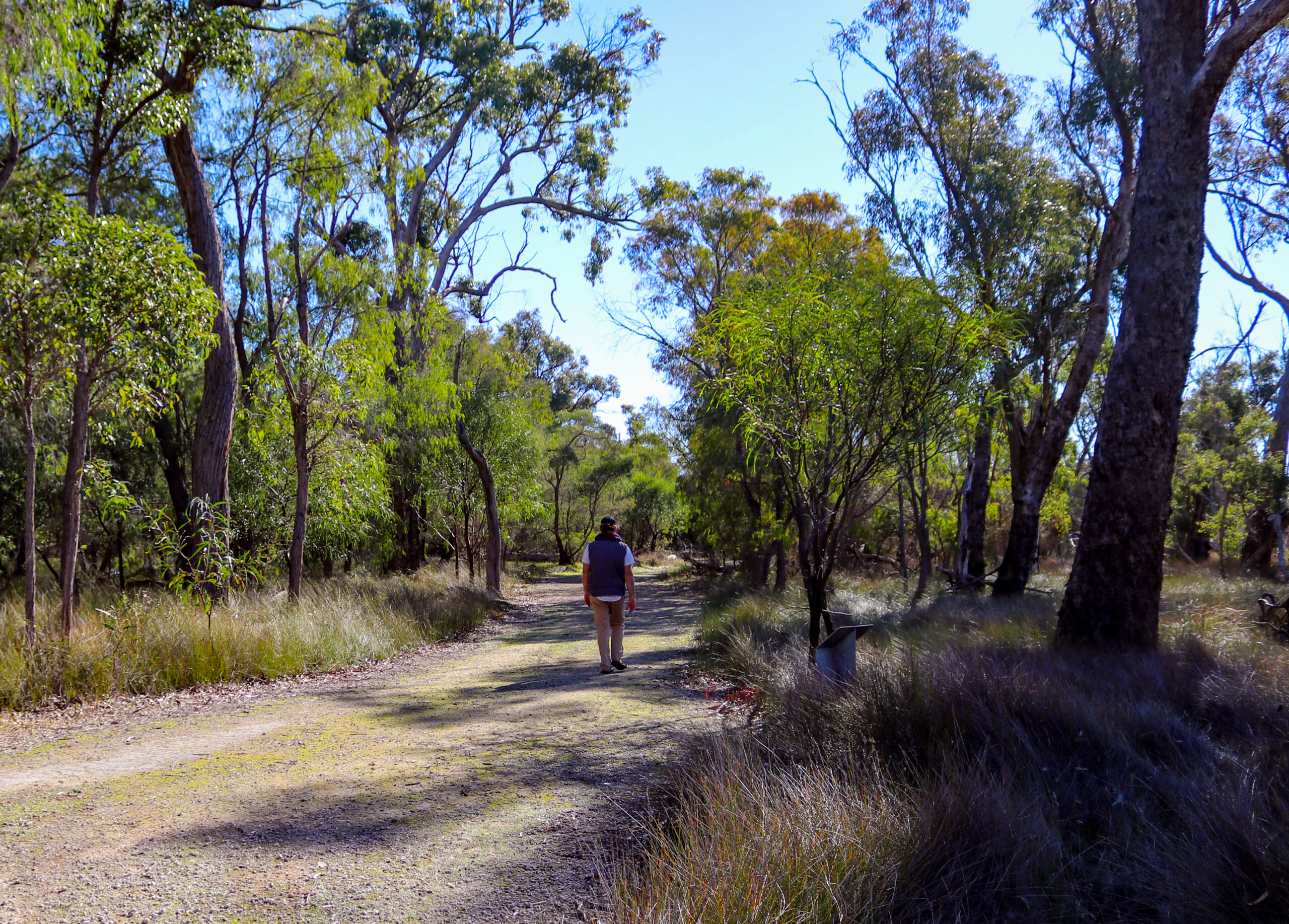 man walking in the forest on a trail