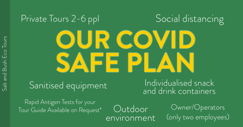 Covid safety plan intro