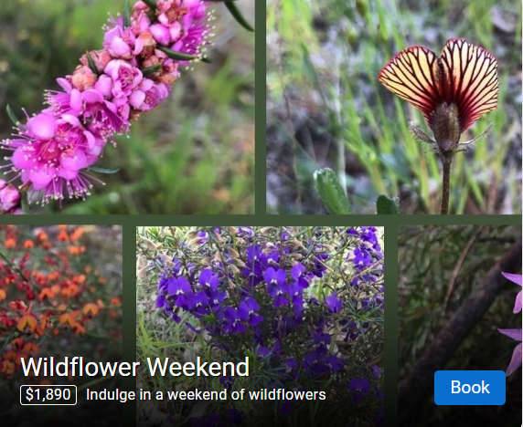 Collage of West Australian Wildflowers